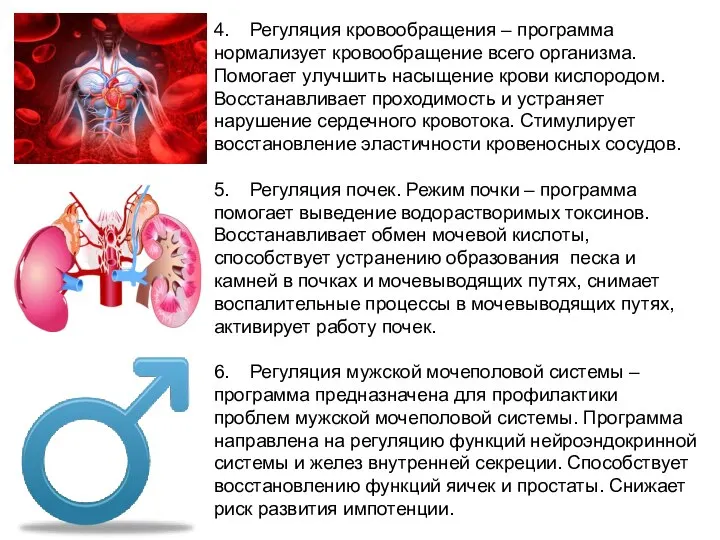 4. Регуляция кровообращения – программа нормализует кровообращение всего организма. Помогает улучшить насыщение