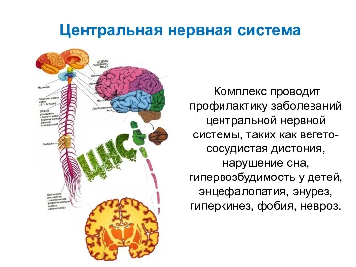 Комплекс проводит профилактику заболеваний центральной нервной системы, таких как вегето-сосудистая дистония, нарушение