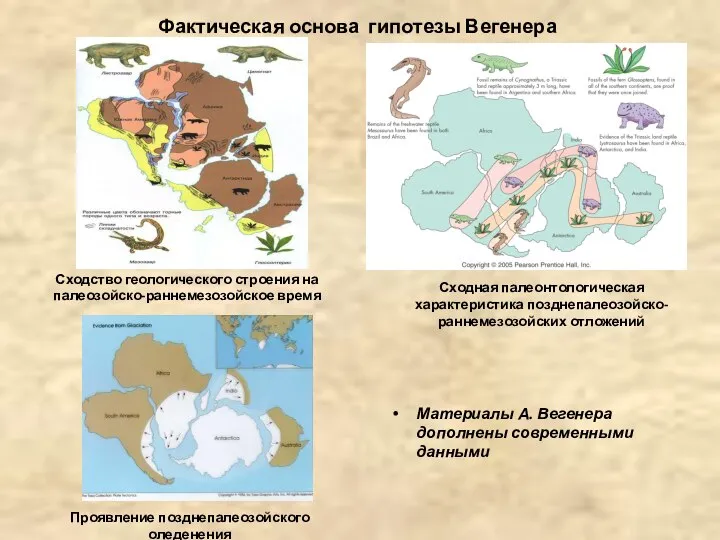 Фактическая основа гипотезы Вегенера Материалы А. Вегенера дополнены современными данными Сходная палеонтологическая