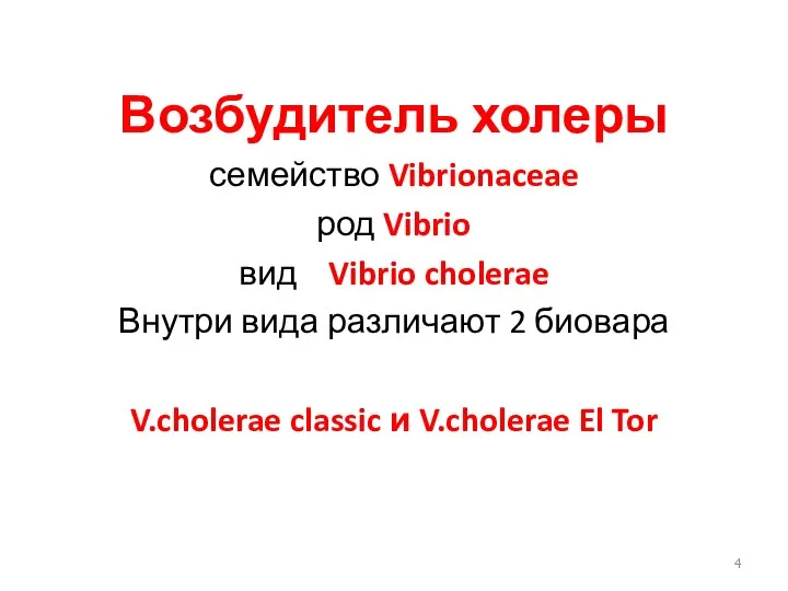 Возбудитель холеры семейство Vibrionaceae род Vibrio вид Vibrio cholerae Внутри вида различают