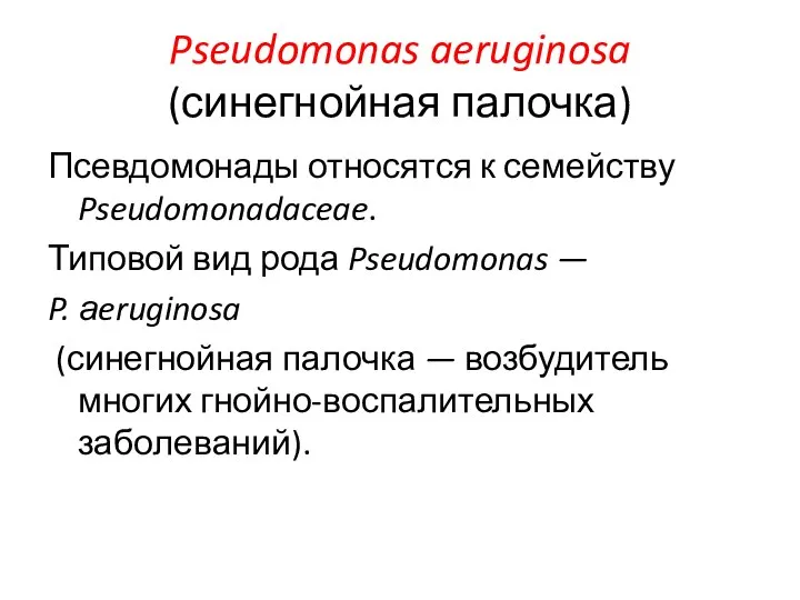 Pseudomonas aeruginosa (синегнойная палочка) Псевдомонады относятся к семейству Pseudomonadaceae. Типовой вид рода