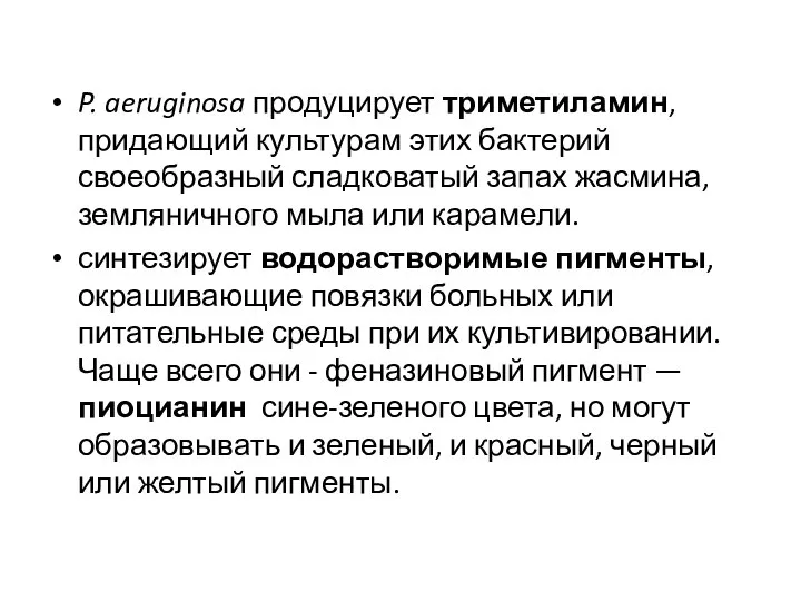 P. aeruginosa продуцирует триметиламин, придающий культурам этих бактерий своеобразный сладковатый запах жасмина,