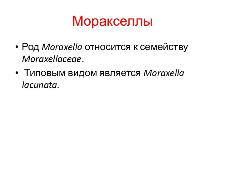 Моракселлы Род Moraxella относится к семейству Moraxellaceae. Типовым видом является Moraxella lacunata.