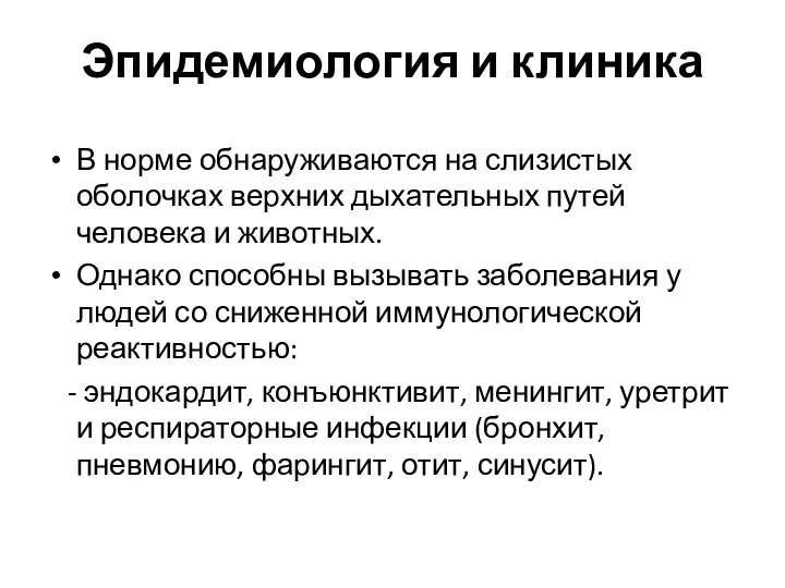 Эпидемиология и клиника В норме обнаруживаются на слизистых оболочках верхних дыхательных путей