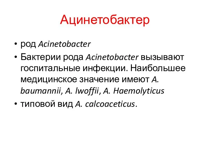Ацинетобактер род Acinetobacter Бактерии рода Acinetobacter вызывают госпитальные инфекции. Наибольшее медицинское значение