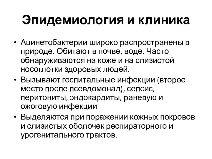 Эпидемиология и клиника Ацинетобактерии широко распространены в природе. Обитают в почве, воде.