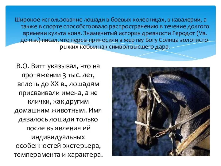 Широкое использование лошади в боевых колесницах, в кавалерии, а также в спорте