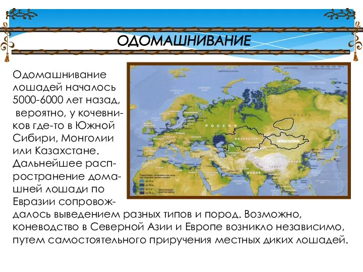 Одомашнивание лошадей началось 5000-6000 лет назад, вероятно, у кочевни- ков где-то в