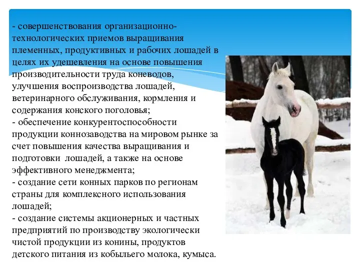 - совершенствования организационно-технологических приемов выращивания племенных, продуктивных и рабочих лошадей в целях