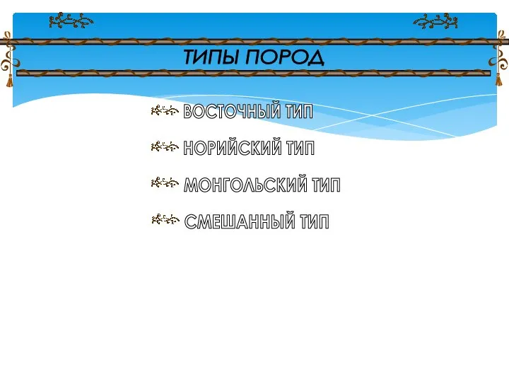 ТИПЫ ПОРОД ВОСТОЧНЫЙ ТИП НОРИЙСКИЙ ТИП МОНГОЛЬСКИЙ ТИП СМЕШАННЫЙ ТИП