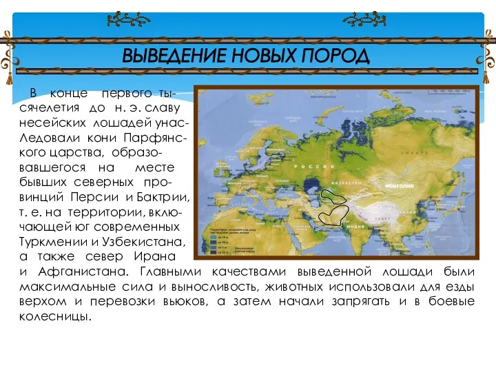 В конце первого ты- сячелетия до н. э. славу несейских лошадей унас-