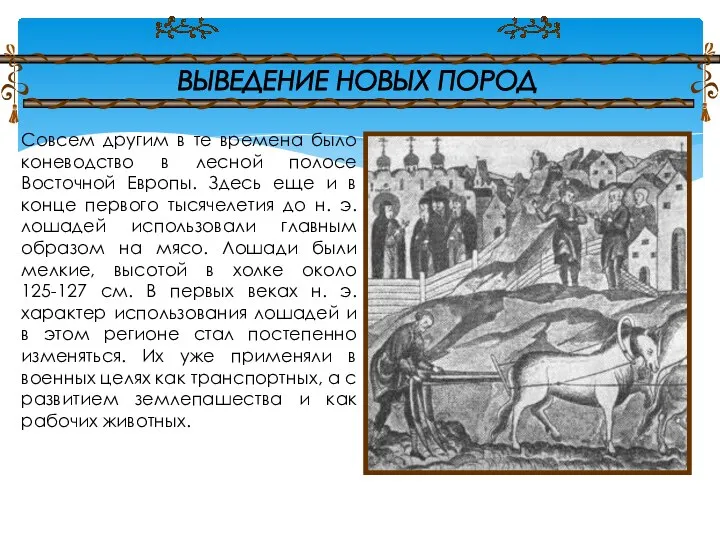 Совсем другим в те времена было коневодство в лесной полосе Восточной Европы.