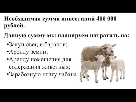 Необходимая сумма инвестиций 400 000 рублей. Данную сумму мы планируем потратить на: