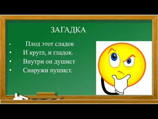 ЗАГАДКА Плод этот сладок И кругл, и гладок. Внутри он душист Снаружи пушист.