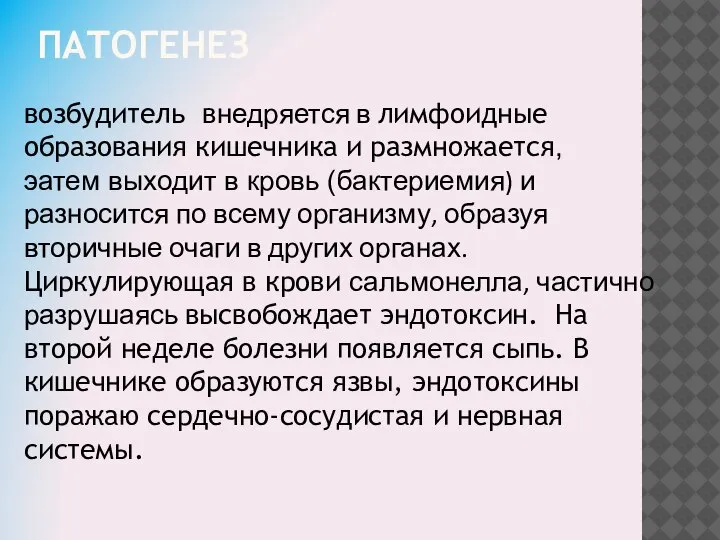 ПАТОГЕНЕЗ возбудитель внедряется в лимфоидные образования кишечника и размножается, эатем выходит в