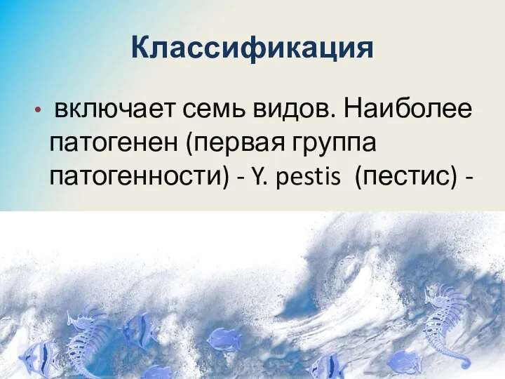 Классификация включает семь видов. Наиболее патогенен (первая группа патогенности) - Y. pestis (пестис) -