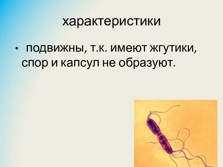 характеристики подвижны, т.к. имеют жгутики, спор и капсул не образуют.