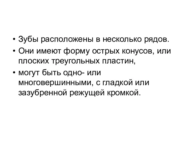 Зубы расположены в несколько рядов. Они имеют форму острых конусов, или плоских