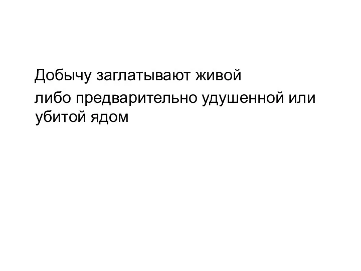 Добычу заглатывают живой либо предварительно удушенной или убитой ядом