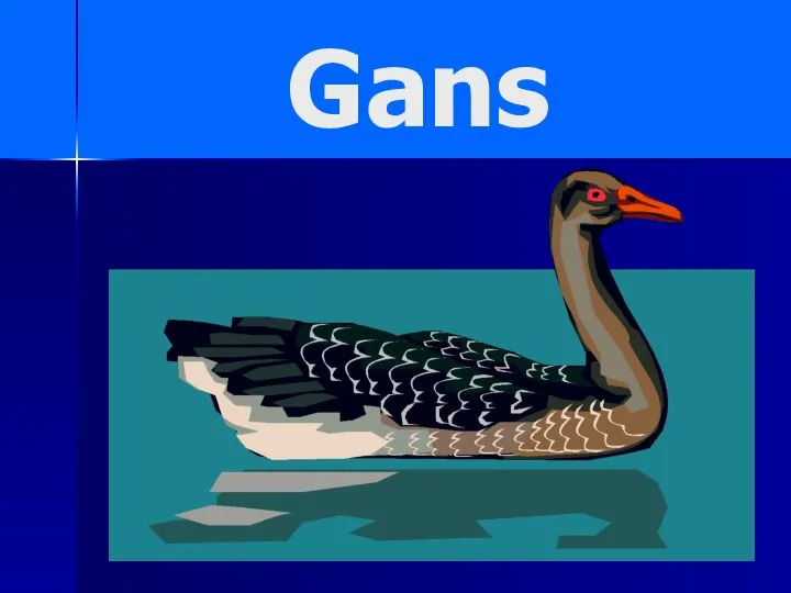 Gans