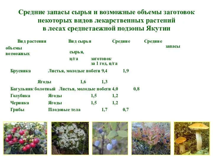 Средние запасы сырья и возможные объемы заготовок некоторых видов лекарственных растений в