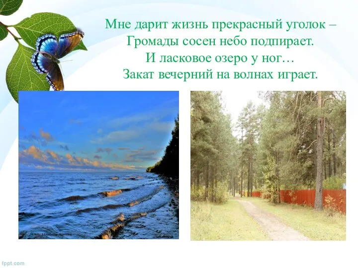 Мне дарит жизнь прекрасный уголок – Громады сосен небо подпирает. И ласковое