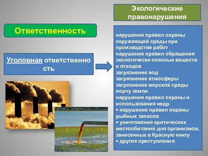 Уголовная ответственность Ответственность нарушение правил охраны окружающей среды при производстве работ нарушение