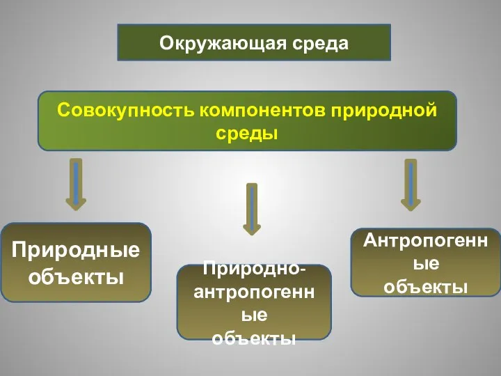 Окружающая среда Совокупность компонентов природной среды Природные объекты Природно-антропогенные объекты Антропогенные объекты