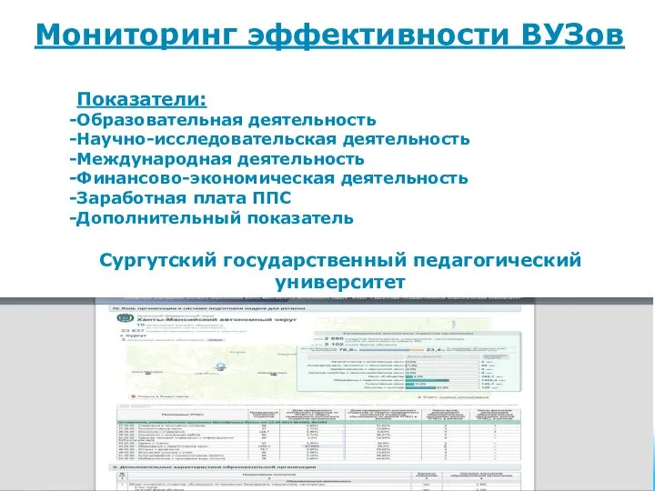 Мониторинг эффективности ВУЗов Показатели: Образовательная деятельность Научно-исследовательская деятельность Международная деятельность Финансово-экономическая деятельность