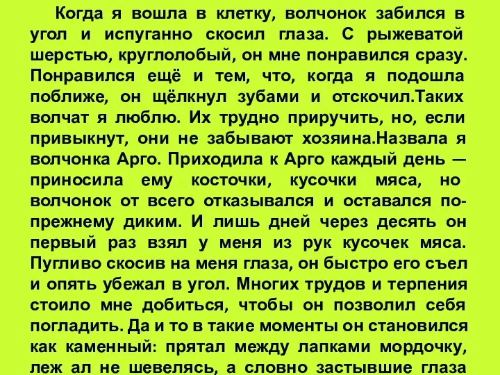 Когда я вошла в клетку, волчонок забился в угол и испуганно скосил