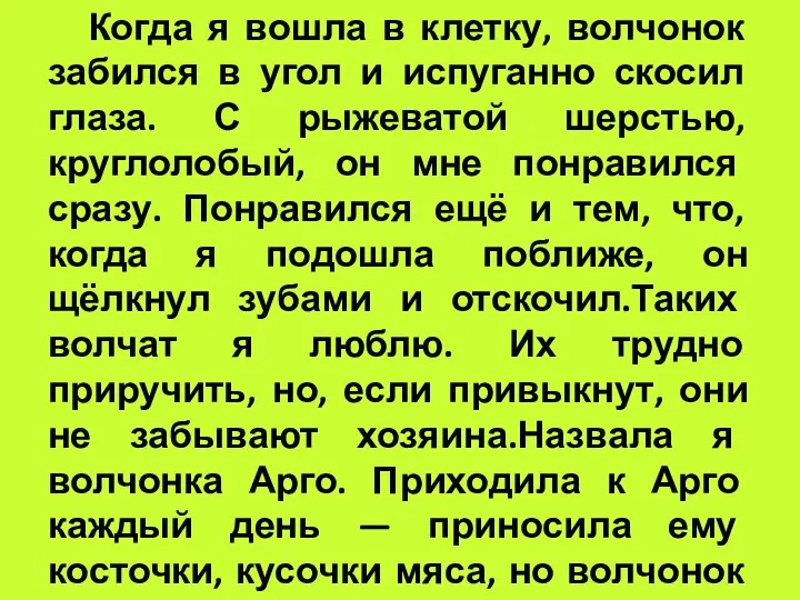 Когда я вошла в клетку, волчонок забился в угол и испуганно скосил