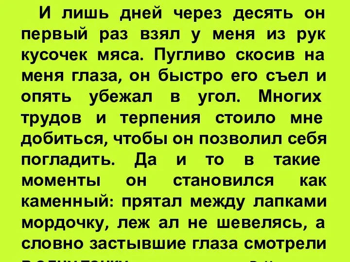 И лишь дней через десять он первый раз взял у меня из