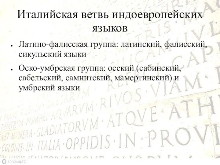 Италийская ветвь индоевропейских языков Латино-фалисская группа: латинский, фалисский, сикульский языки Оско-умбрская группа: