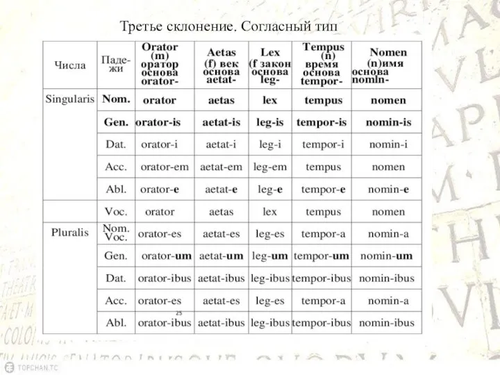 Третье склонение. Согласный тип