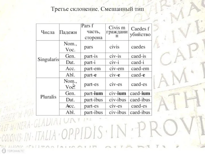 Третье склонение. Смешанный тип