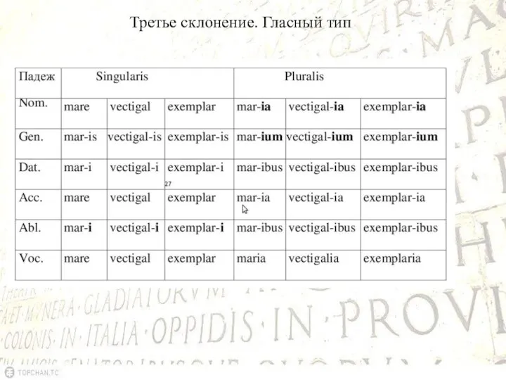 Третье склонение. Гласный тип