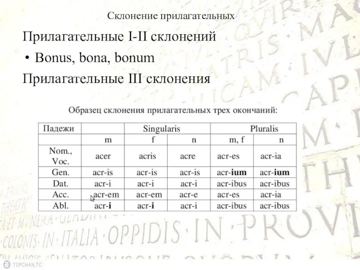 Склонение прилагательных Прилагательные I-II склонений Bonus, bona, bonum Прилагательные III склонения