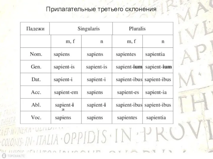 Прилагательные третьего склонения