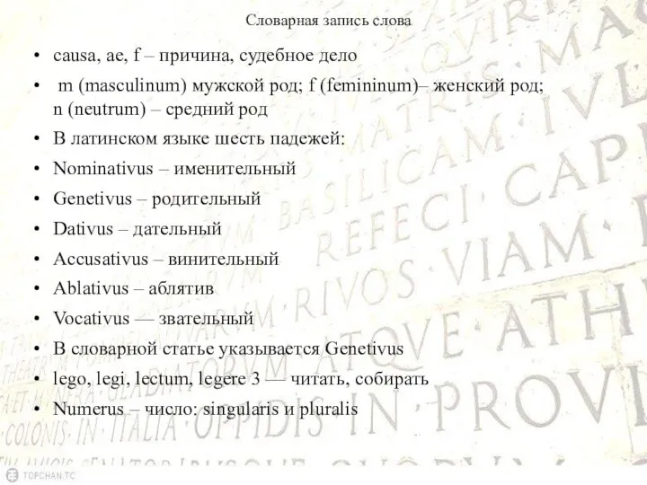 Словарная запись слова causa, ae, f – причина, судебное дело m (masculinum)