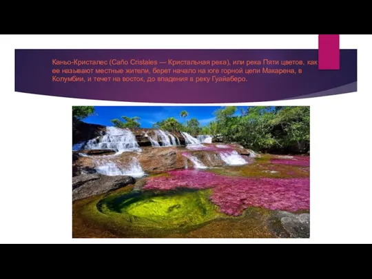 Каньо-Кристалес (Caño Cristales — Кристальная река), или река Пяти цветов, как ее