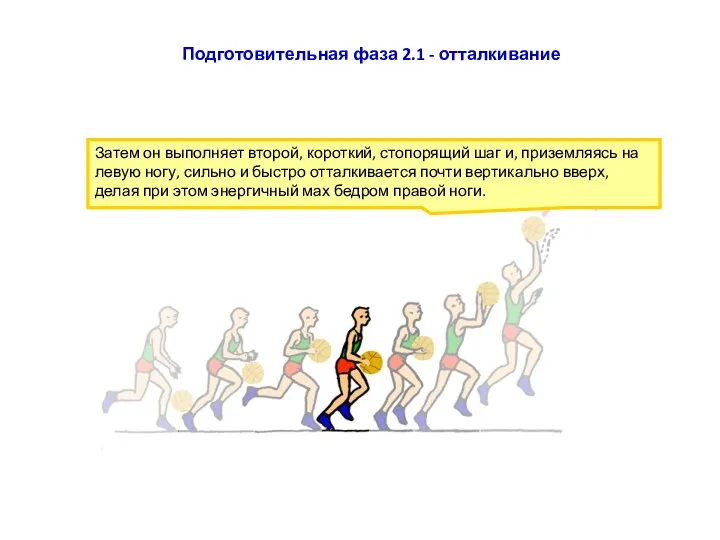 Затем он выполняет второй, короткий, стопорящий шаг и, приземляясь на левую ногу,