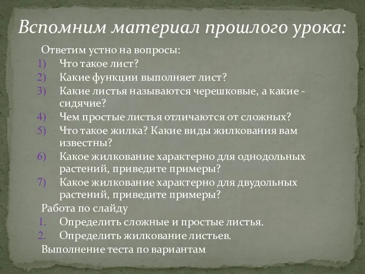 Ответим устно на вопросы: Что такое лист? Какие функции выполняет лист? Какие