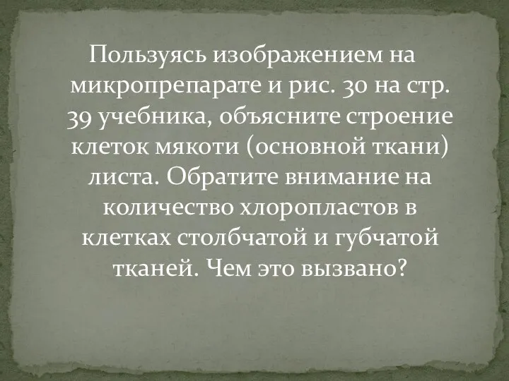 Пользуясь изображением на микропрепарате и рис. 30 на стр. 39 учебника, объясните