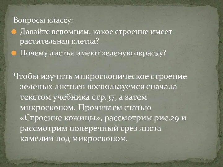 Вопросы классу: Давайте вспомним, какое строение имеет растительная клетка? Почему листья имеют