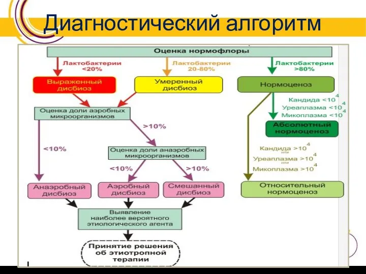 Диагностический алгоритм