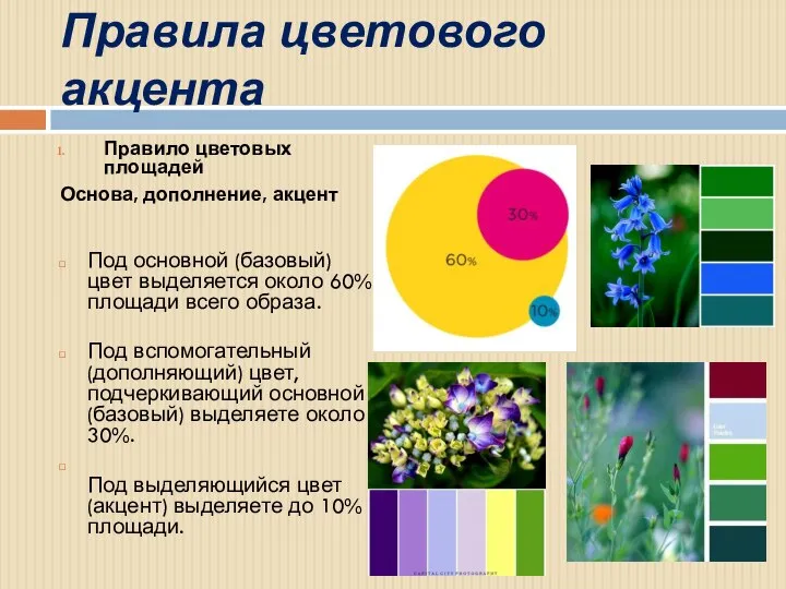 Правила цветового акцента Правило цветовых площадей Основа, дополнение, акцент Под основной (базовый)