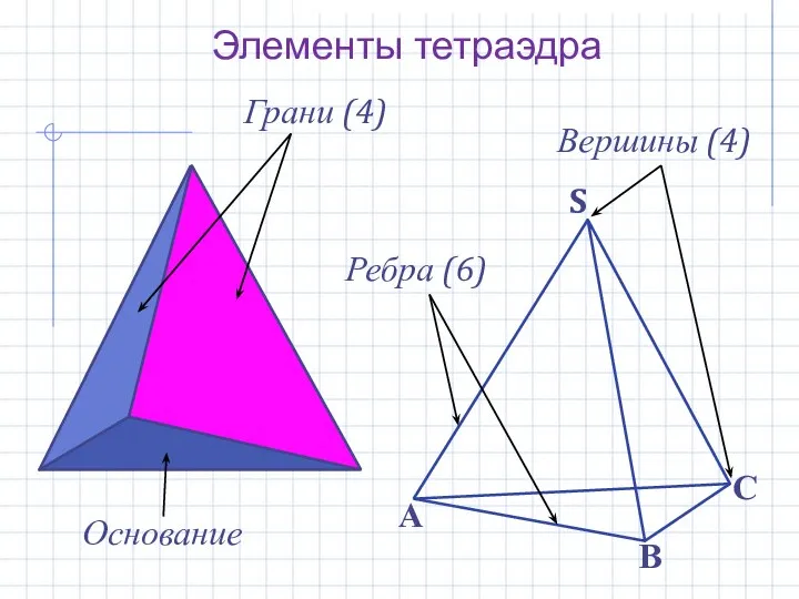 Элементы тетраэдра Грани (4) Ребра (6) Вершины (4) Основание