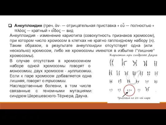 Анеуплоидия (греч. ἀν- — отрицательная приставка + εὖ — полностью + πλόος