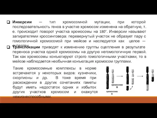 Инверсии — тип хромосомной мутации, при которой последовательность генов в участке хромосом