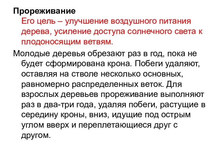 Прореживание Его цель – улучшение воздушного питания дерева, усиление доступа солнечного света